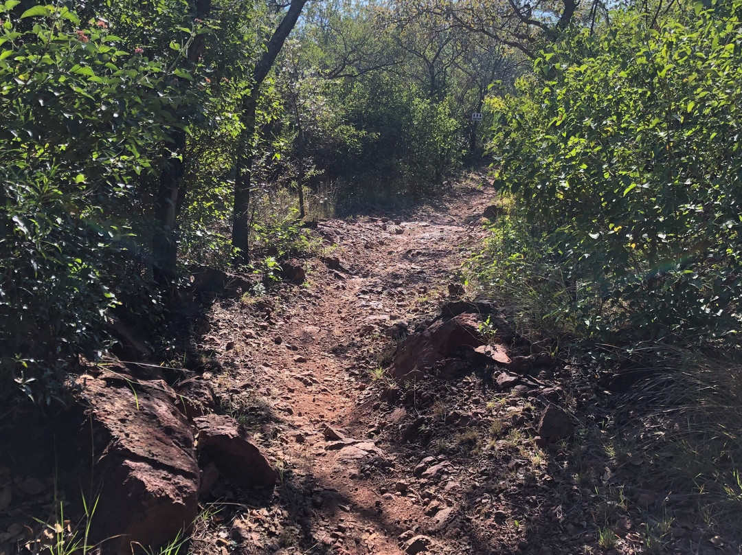 Buffelsdrift MTB Park-比勒陀利亚必去景点