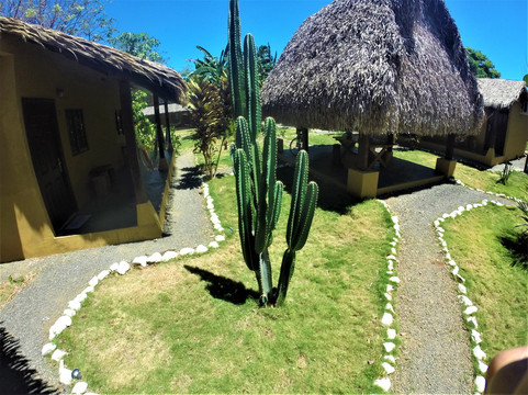 Hotel Las Hamacas
