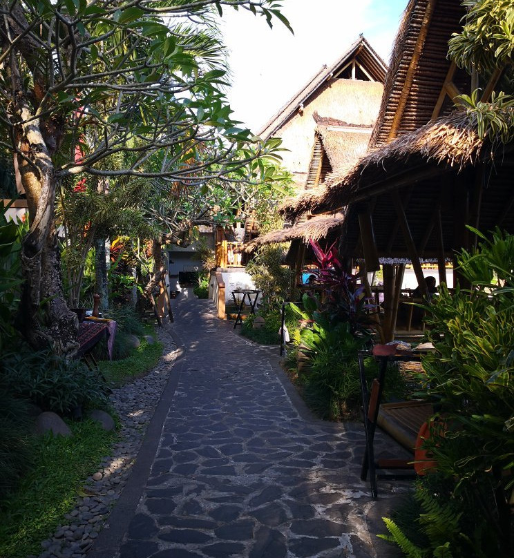 Bromelia Bali Tour & Transport Service - Day Tours-乌布必去景点