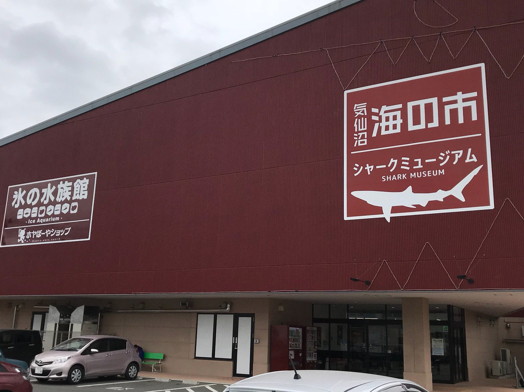 Kesennuma Uminoichi Shark Museum-气仙沼市必去景点