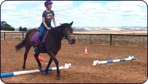 Alba View Equestrian-Ward Belt必去景点