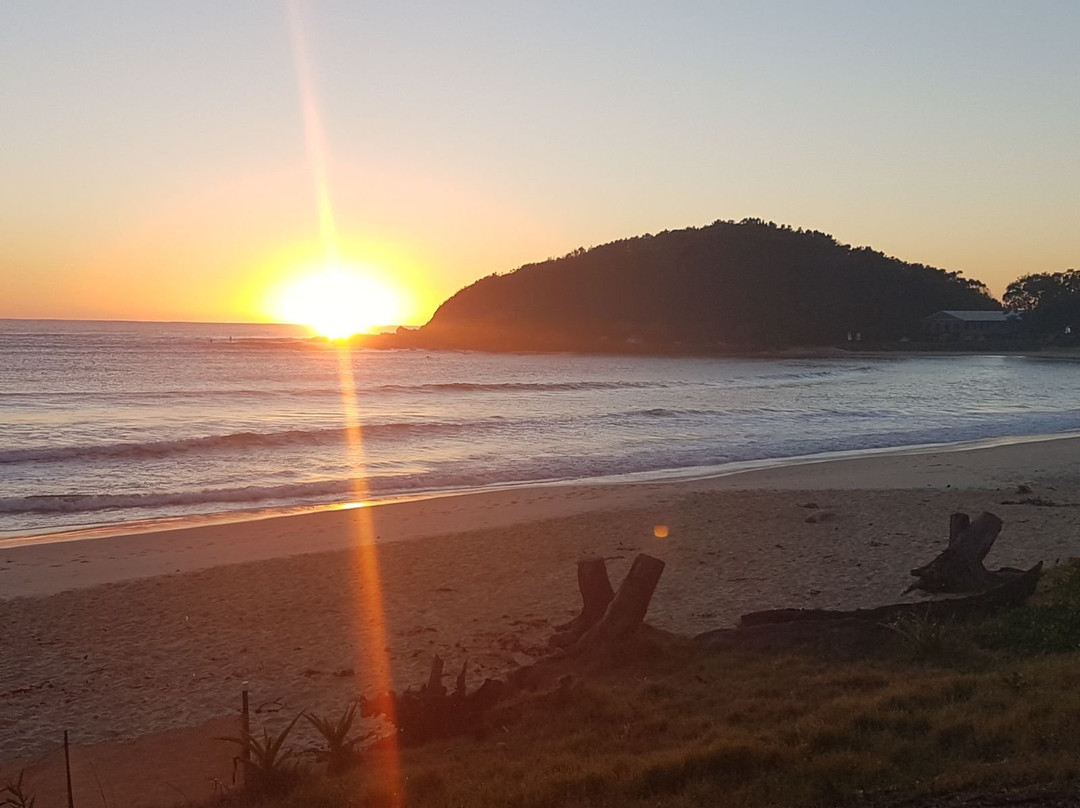 Trent Munro Surf Academy景点图片