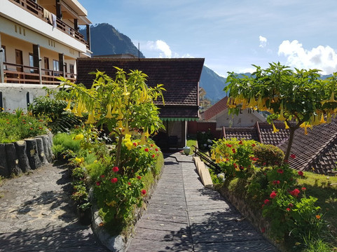 Cafe Lava Hostel