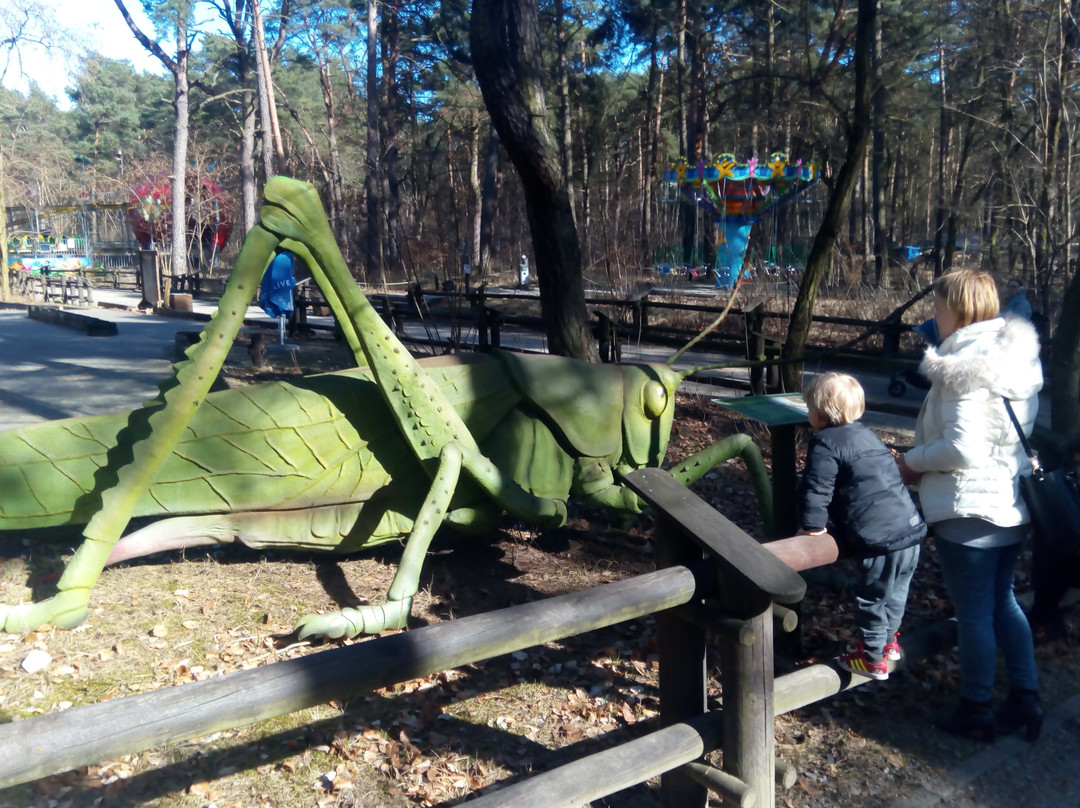 JuraPark-Solec Kujawski必去景点