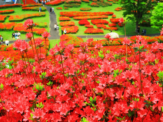 Shiibae Park-三股町必去景点