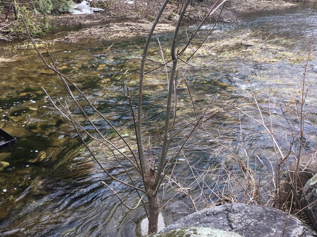 Bleasdell Boulder Conservation Area景点图片