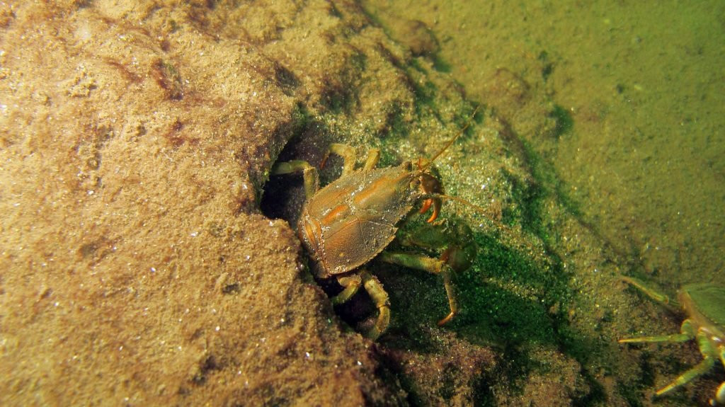 Buceo Tecnico-San Pedro de la Paz必去景点