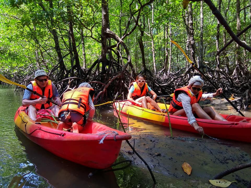 Xtreme Langkawi Mangrove Kayaking景点图片