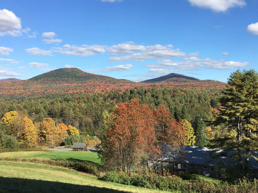 Marshfield Inn & Motel主图