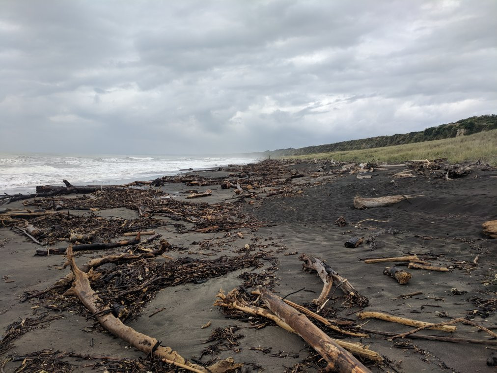 Castlecliff Beach景点图片