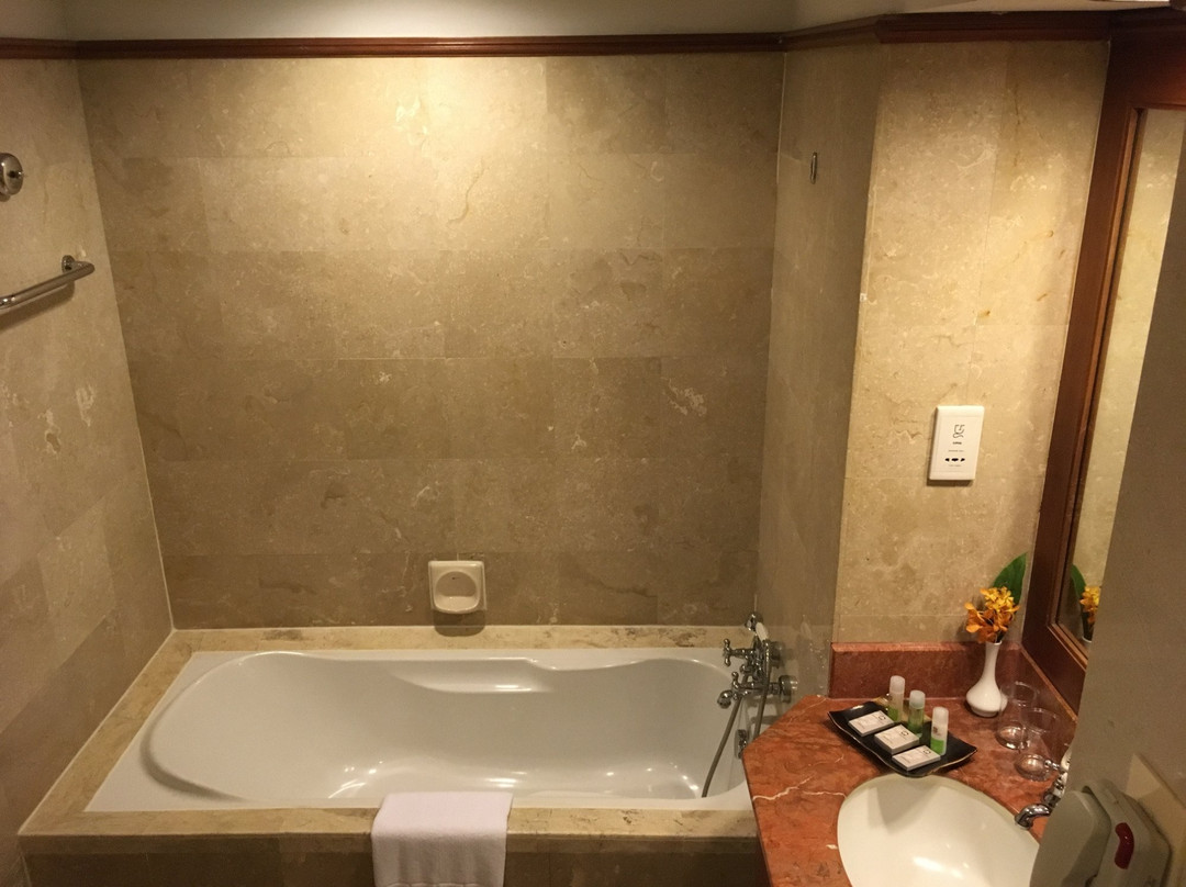 普特拉贾亚班吉国际贵都大饭店主图