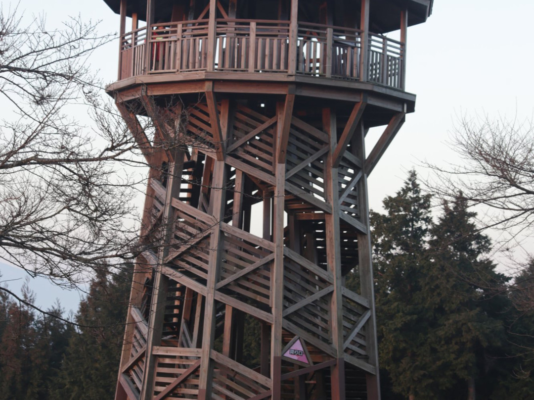 Nanohanadai-秦野市必去景点