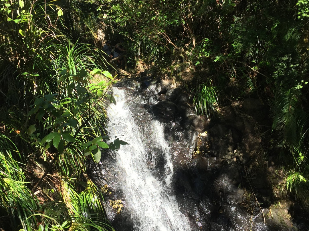 Beautiful Nature Tours Auckland-奥克兰中心地区必去景点
