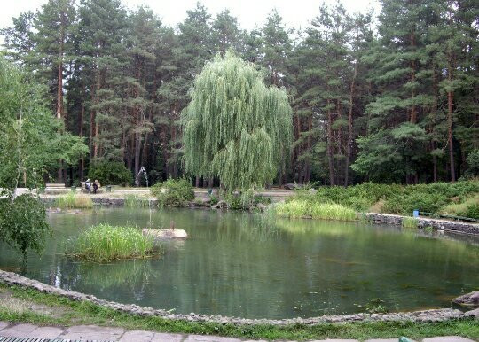 Yuvileyniy Park-Cherkasy必去景点