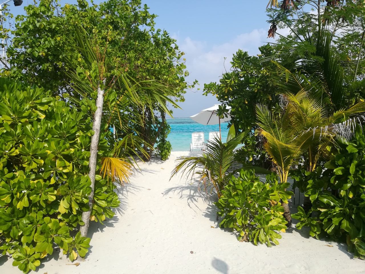 Bibee Maldives-浴室