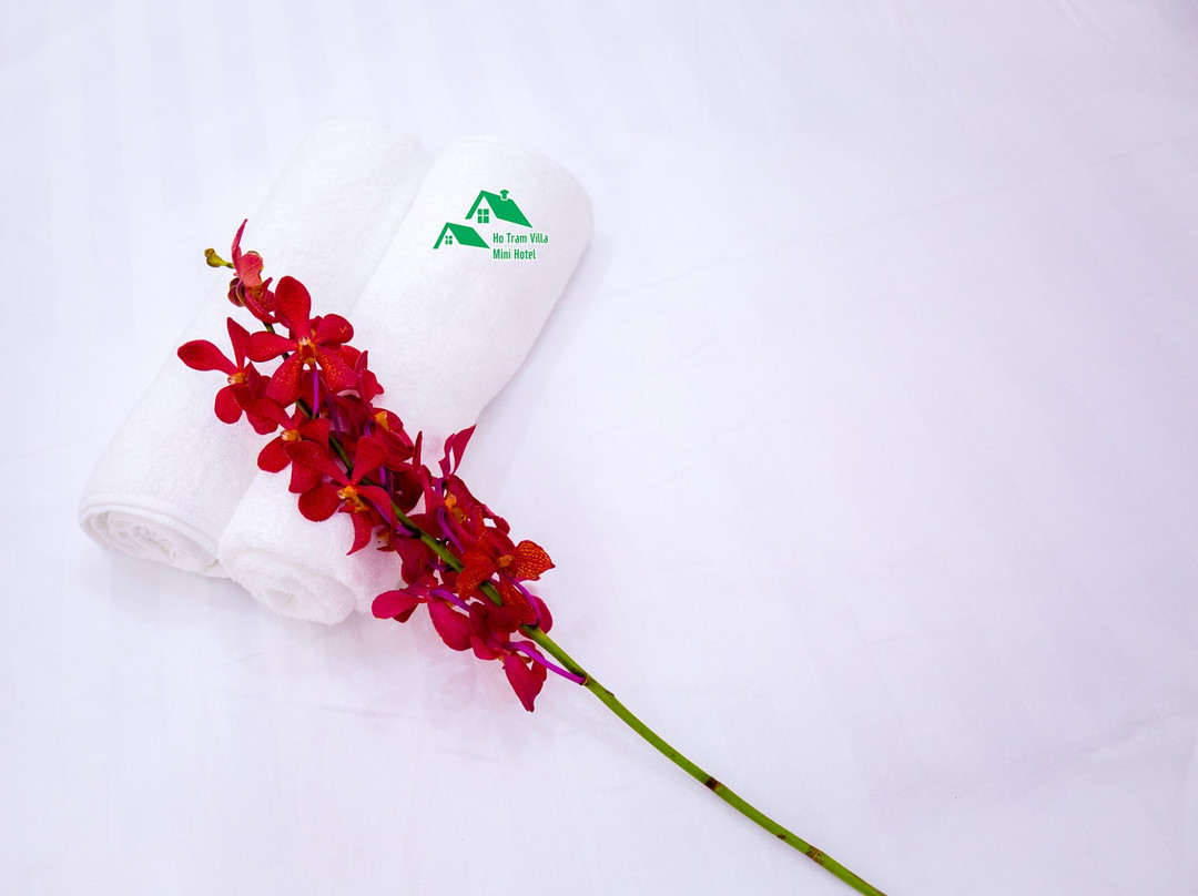 Ho Tram Villa Mini Hotel主图