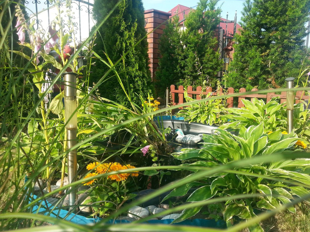 Gasiorowski Vacation House主图