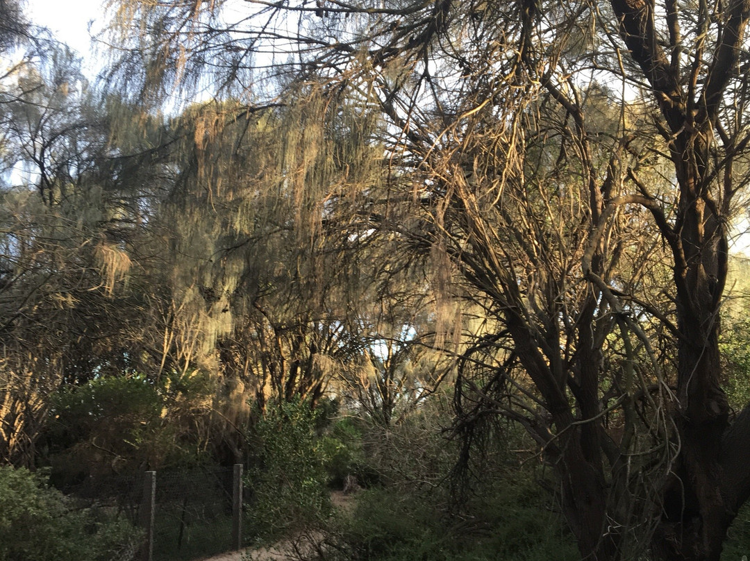 Trey Bit Reserve-Sandringham必去景点