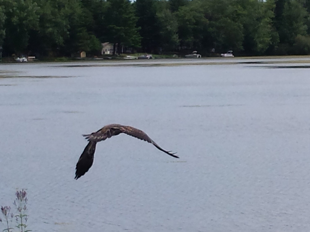 Bayview Resort on Montello Lake主图