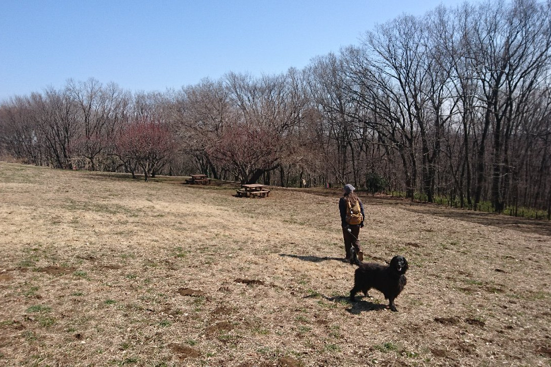 Komiya Park-八王子市必去景点