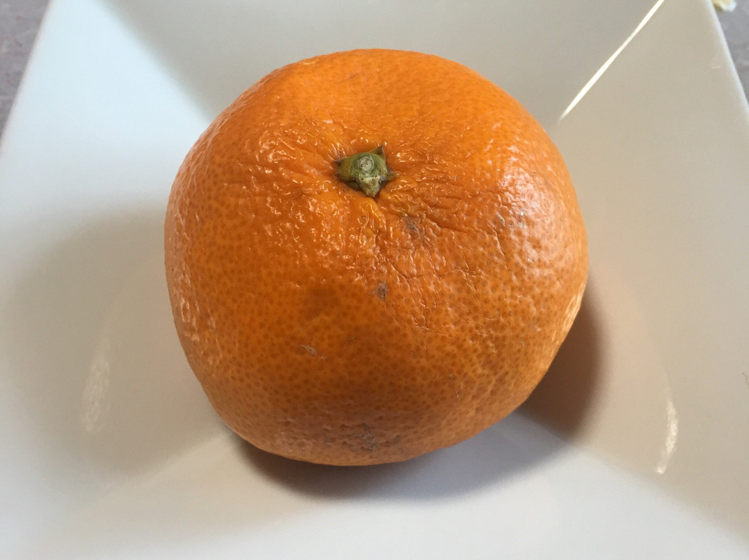 Ryokan Matsukaze主图