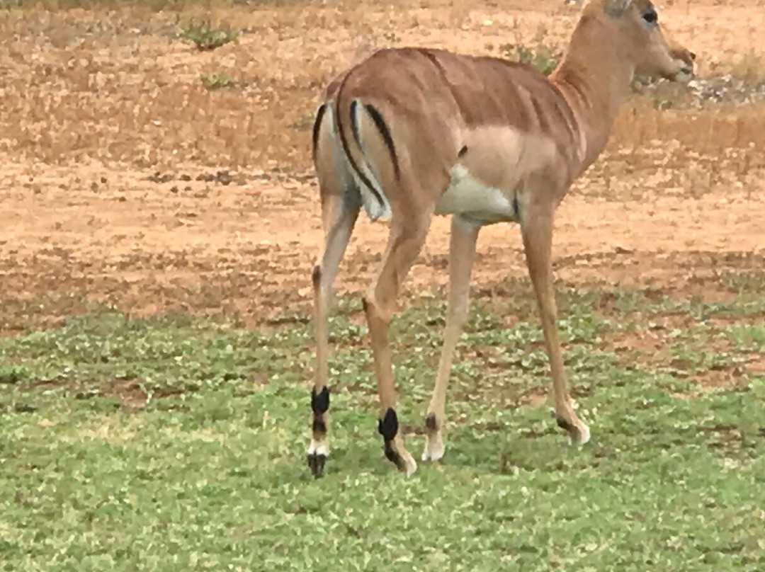 Doornbosch Estate & Guest Houses主图