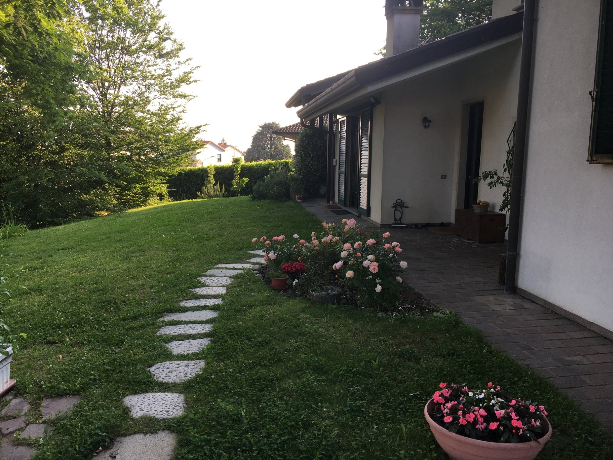 Elleboro B&B-官方
