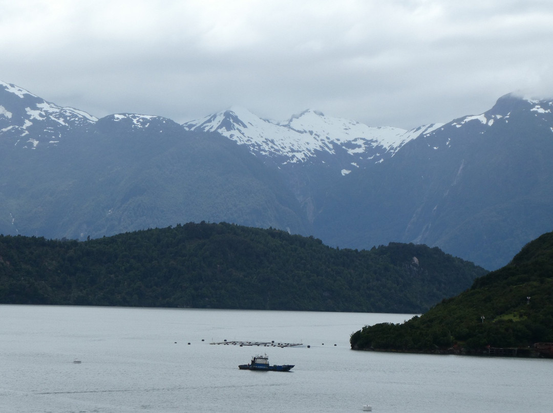 Patagonia National Park景点图片