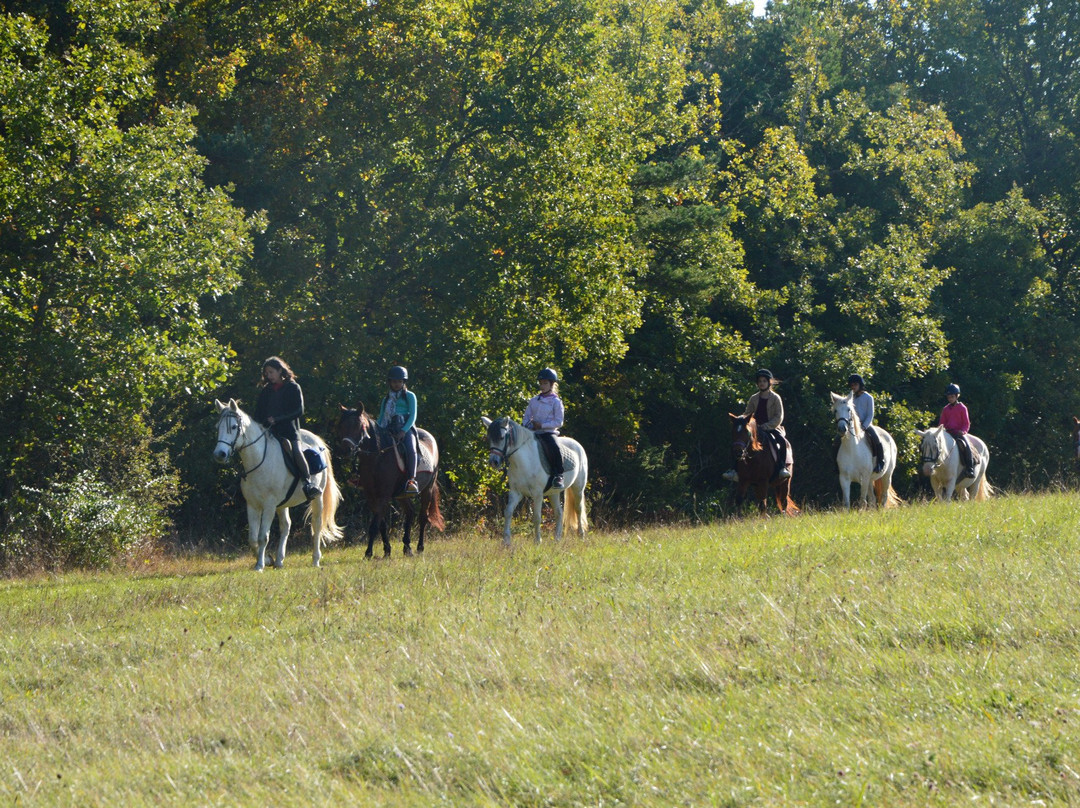 Ferme Equestre de la Gresigne景点图片