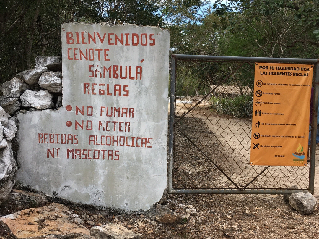 Cenote Sambula-Motul必去景点
