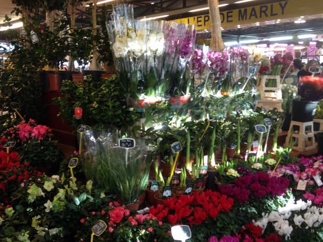 Marche de Marly景点图片