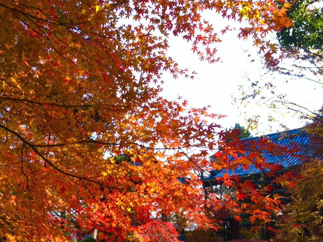 Renko-ji Temple-宇部市必去景点