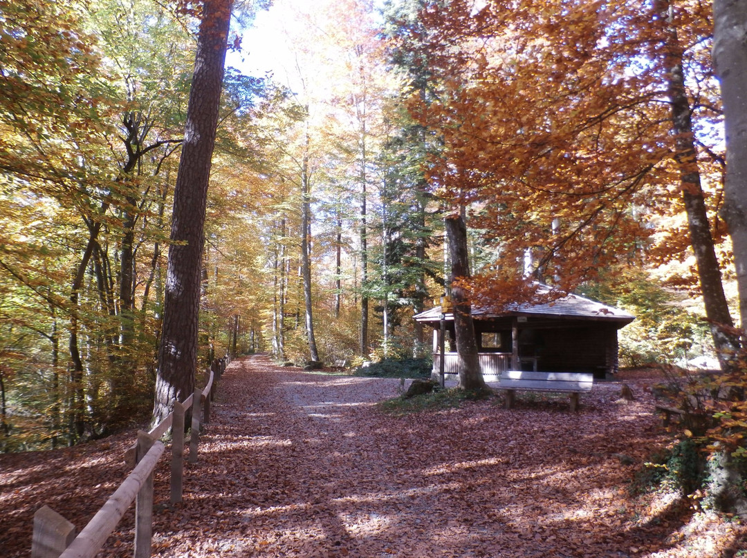 Zollikerberg旅游景点-Loorenkopf Aussichtsturm