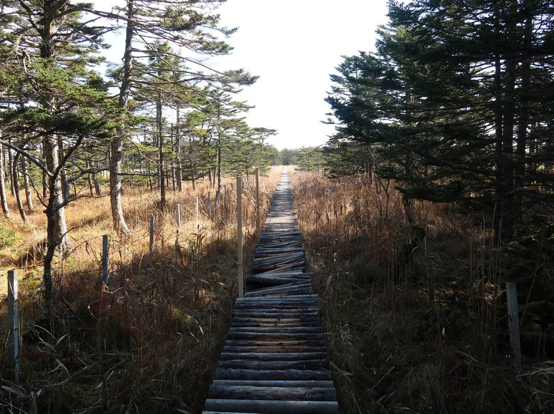 Ochiishi Cape Foot Path-根室市必去景点