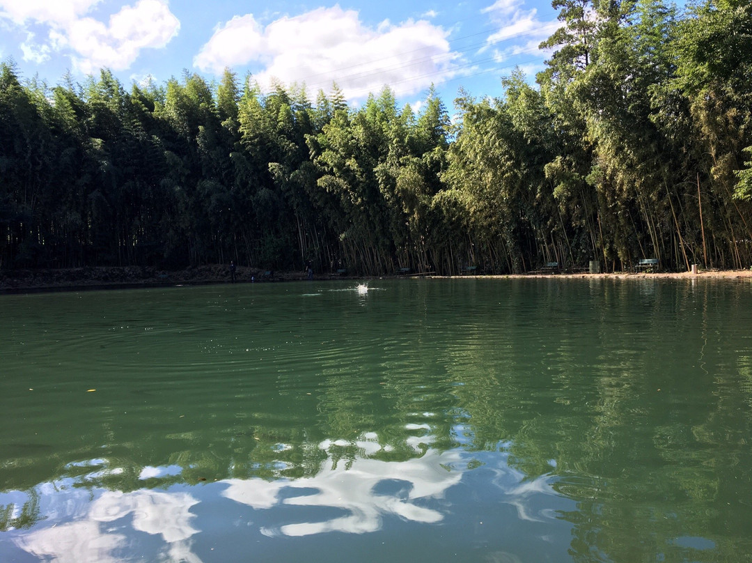 Susono Fishing Park-裾野市必去景点