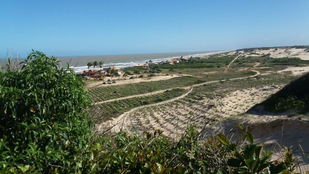 Parque Estadual de Itaunas景点图片