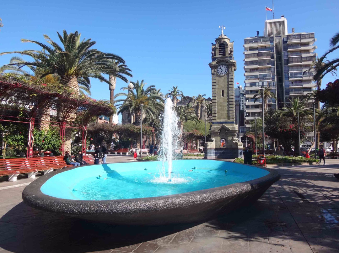 Plaza Colon景点图片