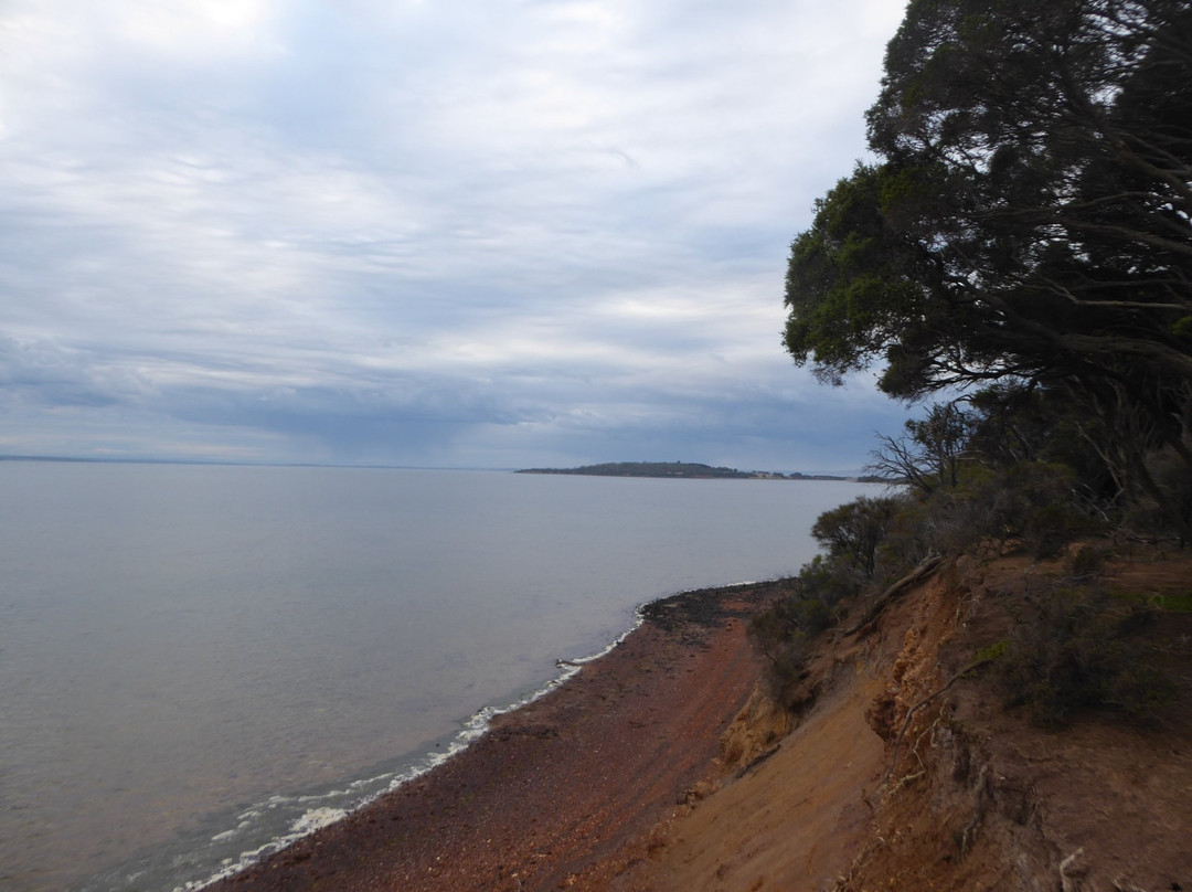 Scenic Estate Conservation Reserve-菲利普岛必去景点