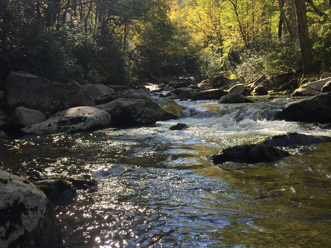 Trout Zone Anglers, LLC-Crossville必去景点