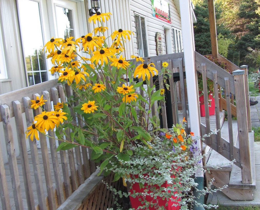 Domaine Le Cageot - Vignoble & Distillerie-Jonquiere必去景点