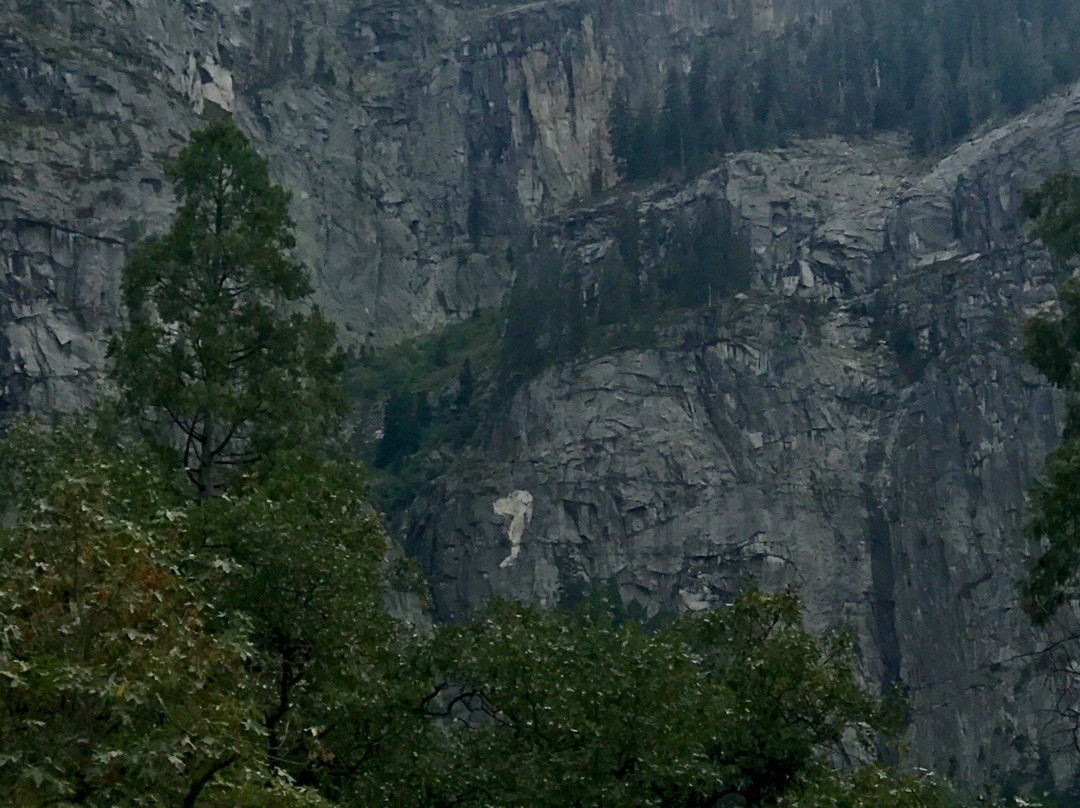 Yosemite Private Tours-优胜美地国家公园必去景点