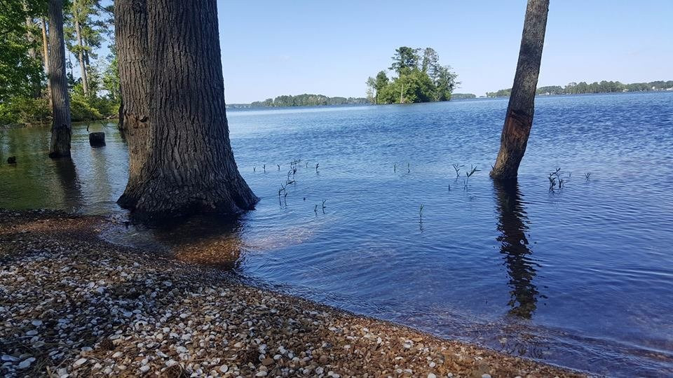 Lake Murray Adventures-Leesville必去景点