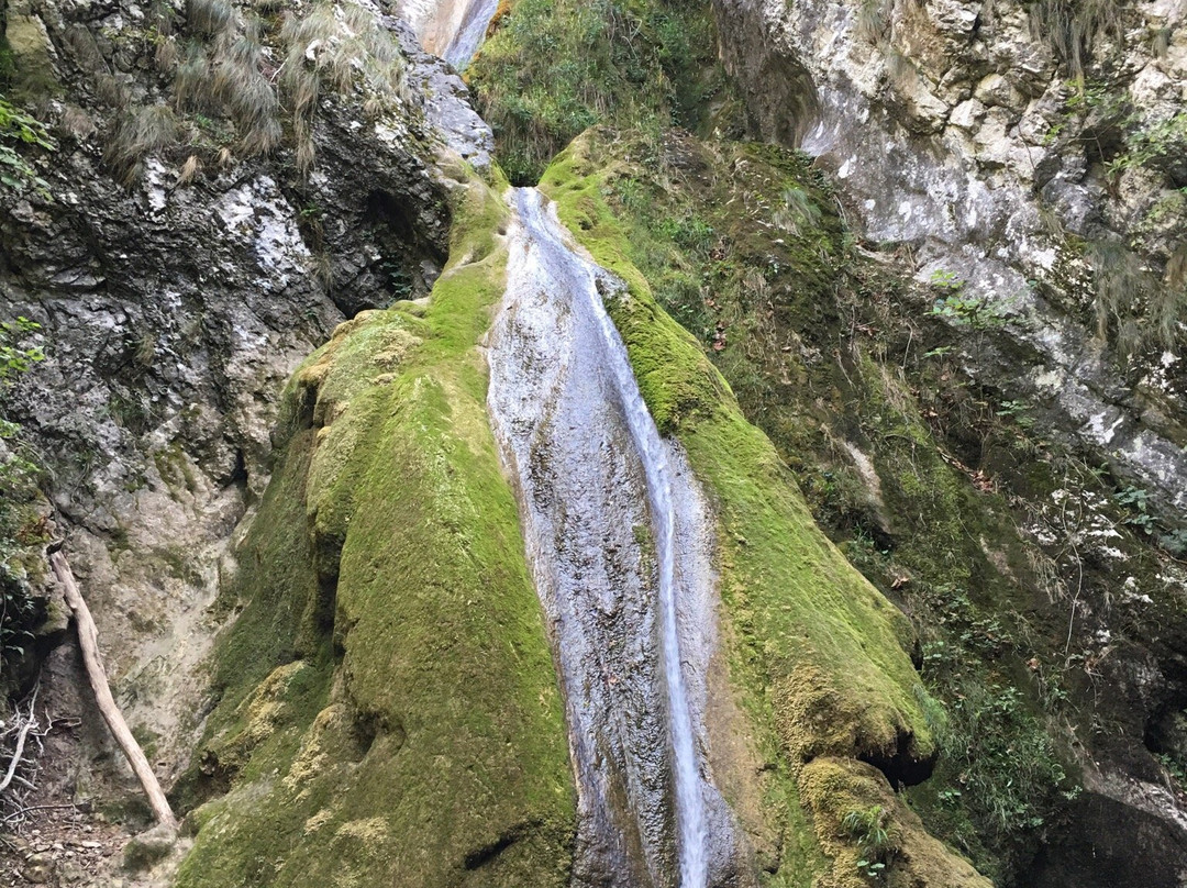 Susara Waterfall景点图片