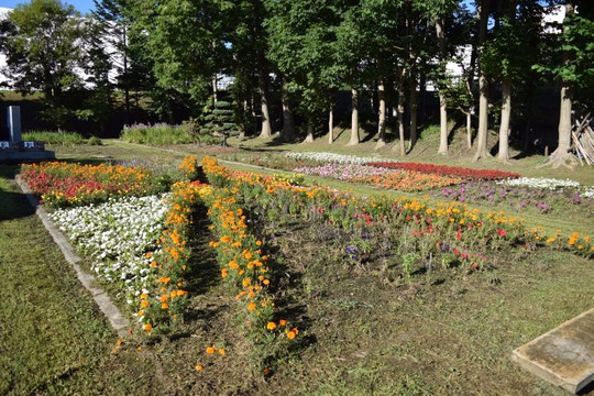 Miharashi Park-留萌市必去景点