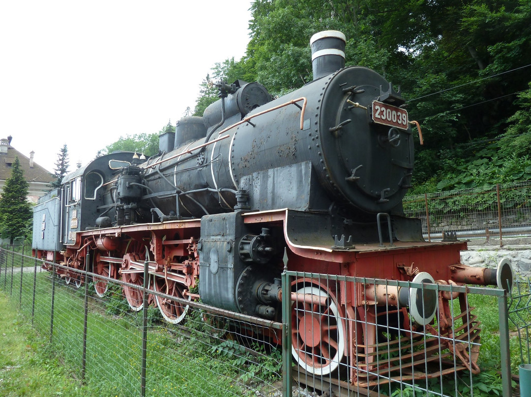 Sinaia train exhibition景点图片