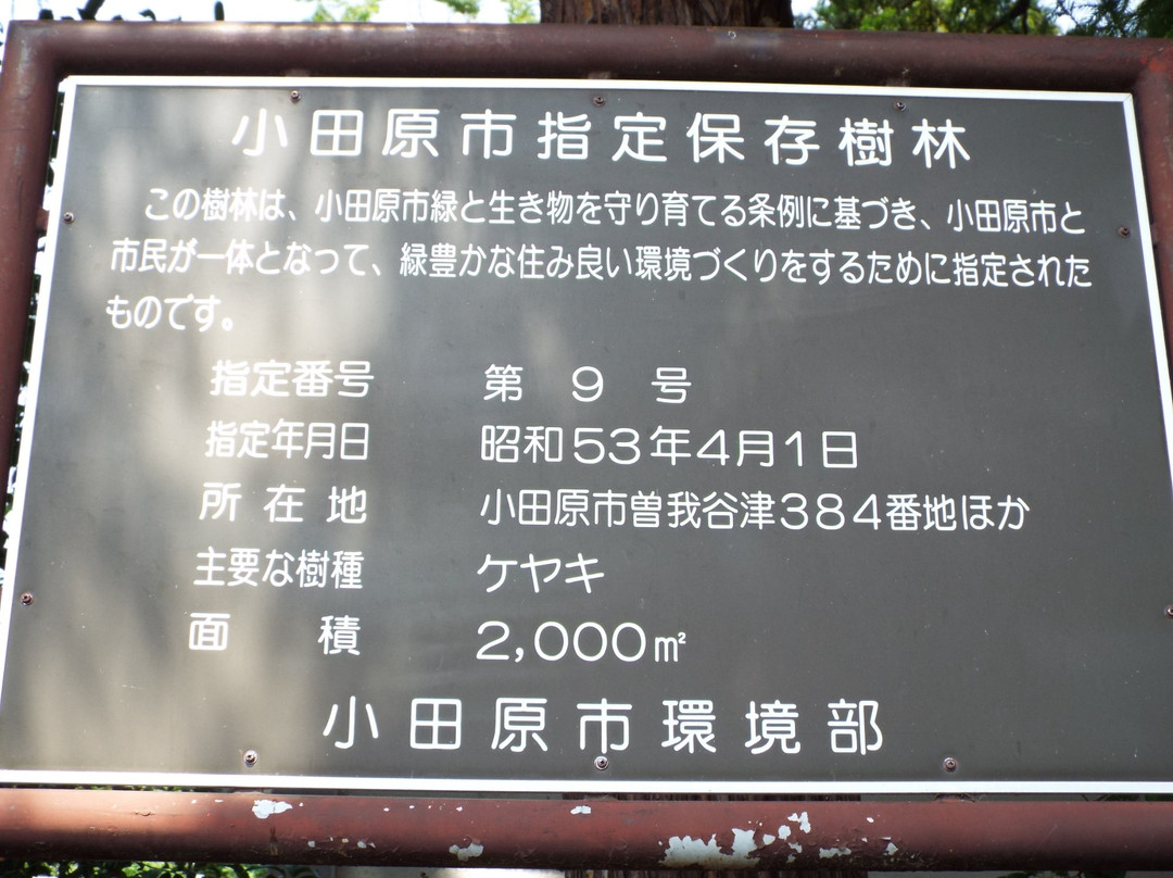 Soga Shrine-小田原市必去景点