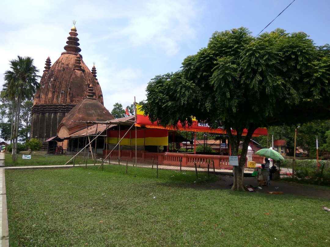 Rudrasagar Tank and Temple景点图片