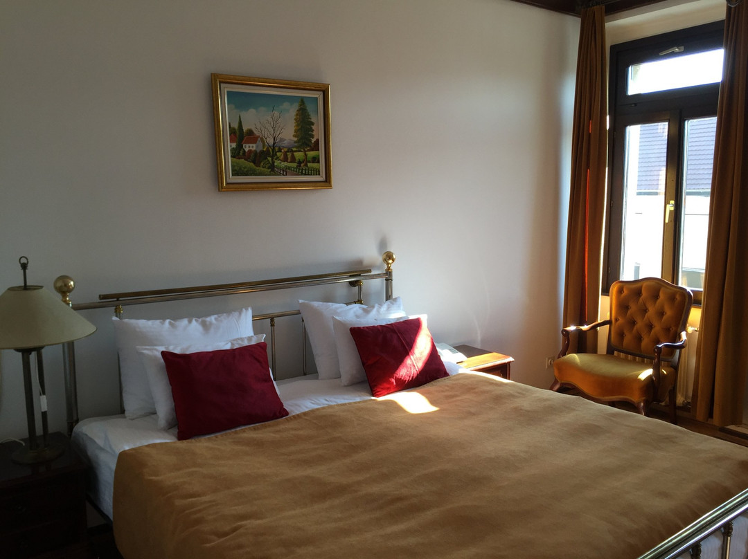 Hotel Grand Valjevo主图