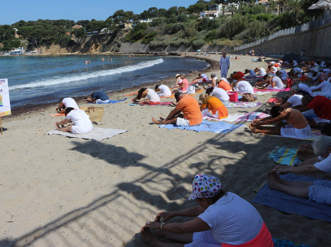 Plage de Portissol景点图片