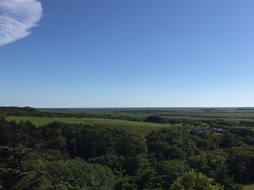 Miyanodai Observation Tower-丰富町必去景点